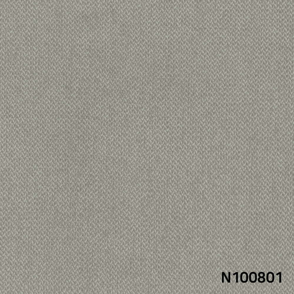 N100801.jpg