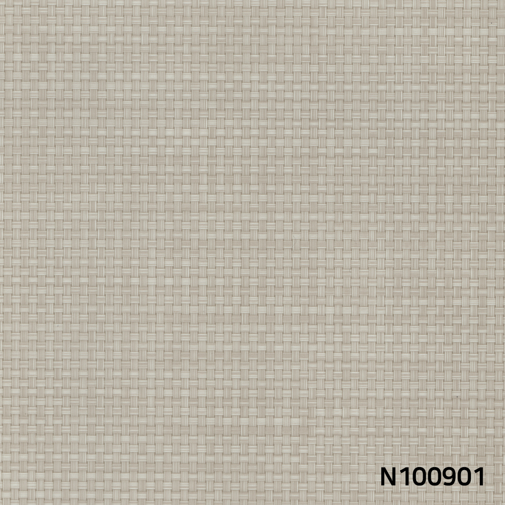 N100901.jpg