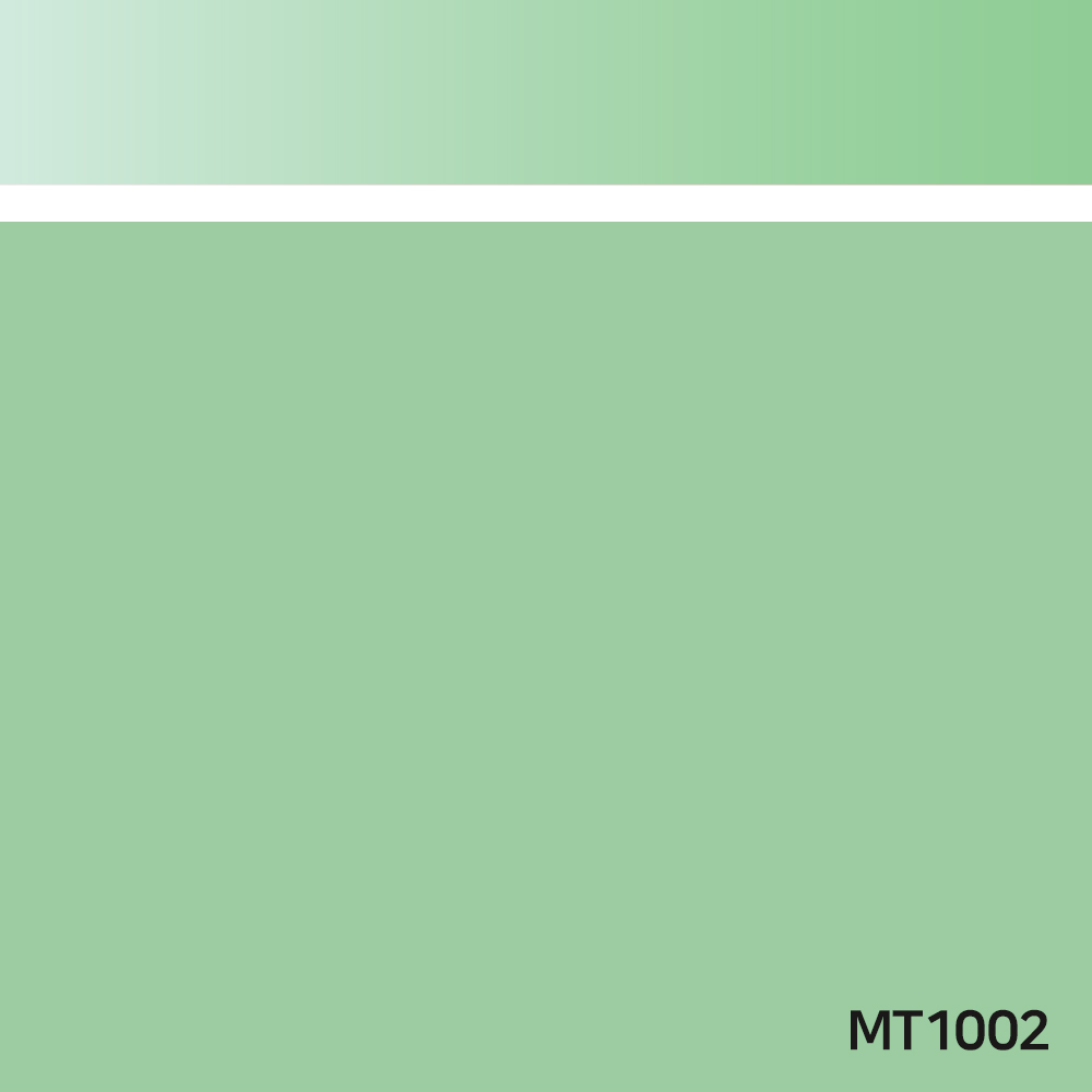 MT1002.jpg
