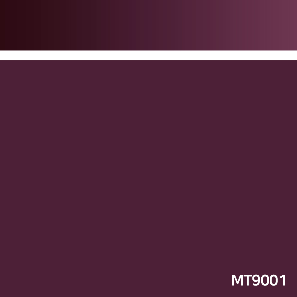 MT9001.jpg