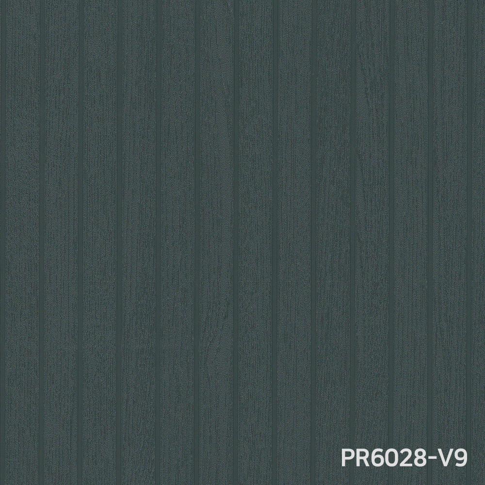 PR6028-V9.jpg