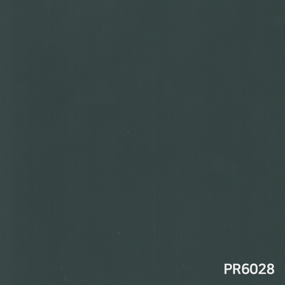 PR6028.jpg
