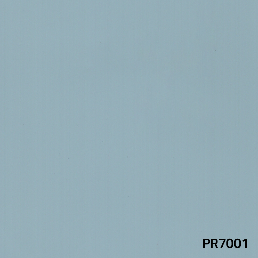 PR7001.jpg