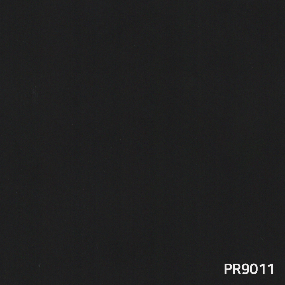 PR9011.jpg