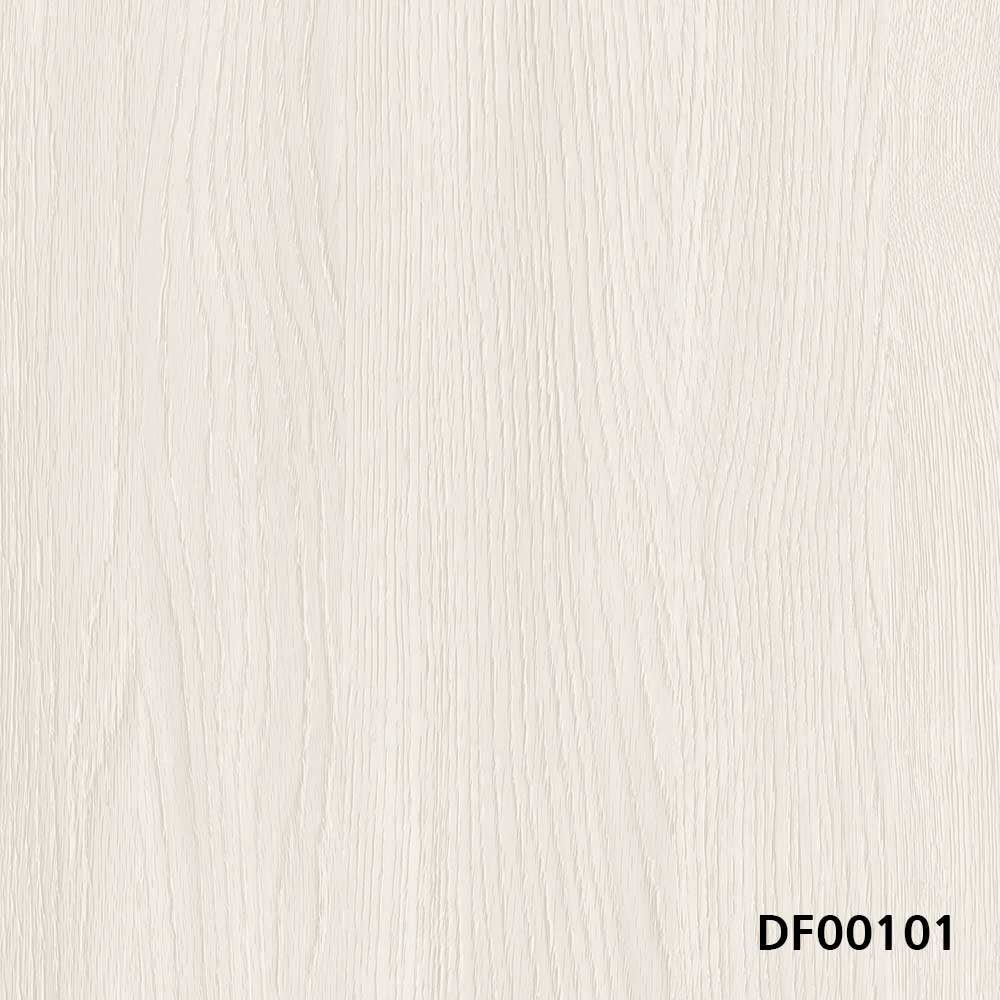 DF00101.jpg