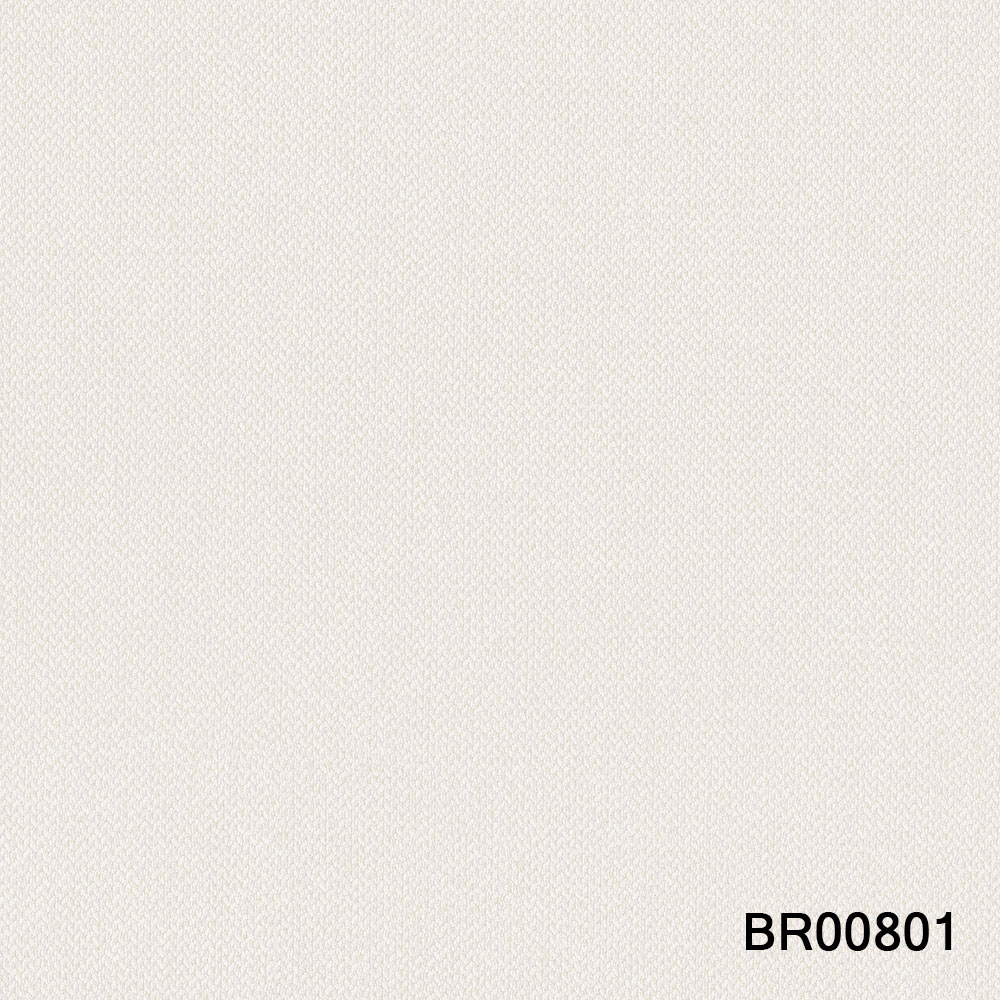 BR00801.jpg