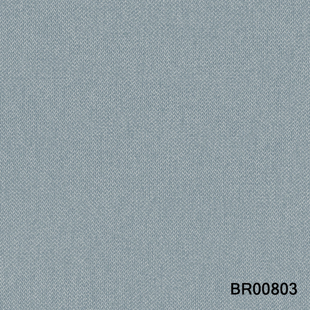 BR00803.jpg