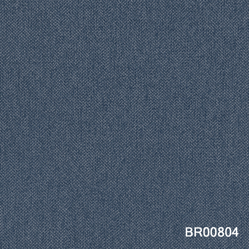 BR00804.jpg