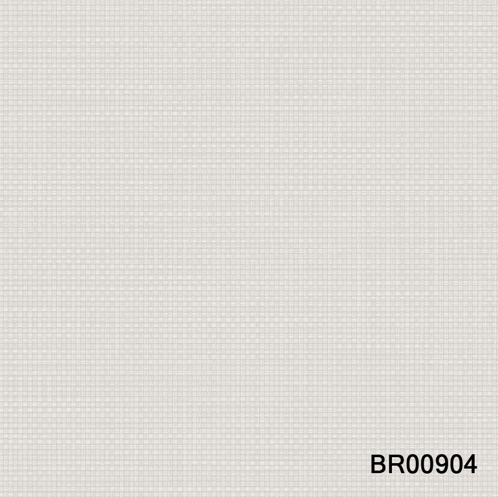 BR00904.jpg