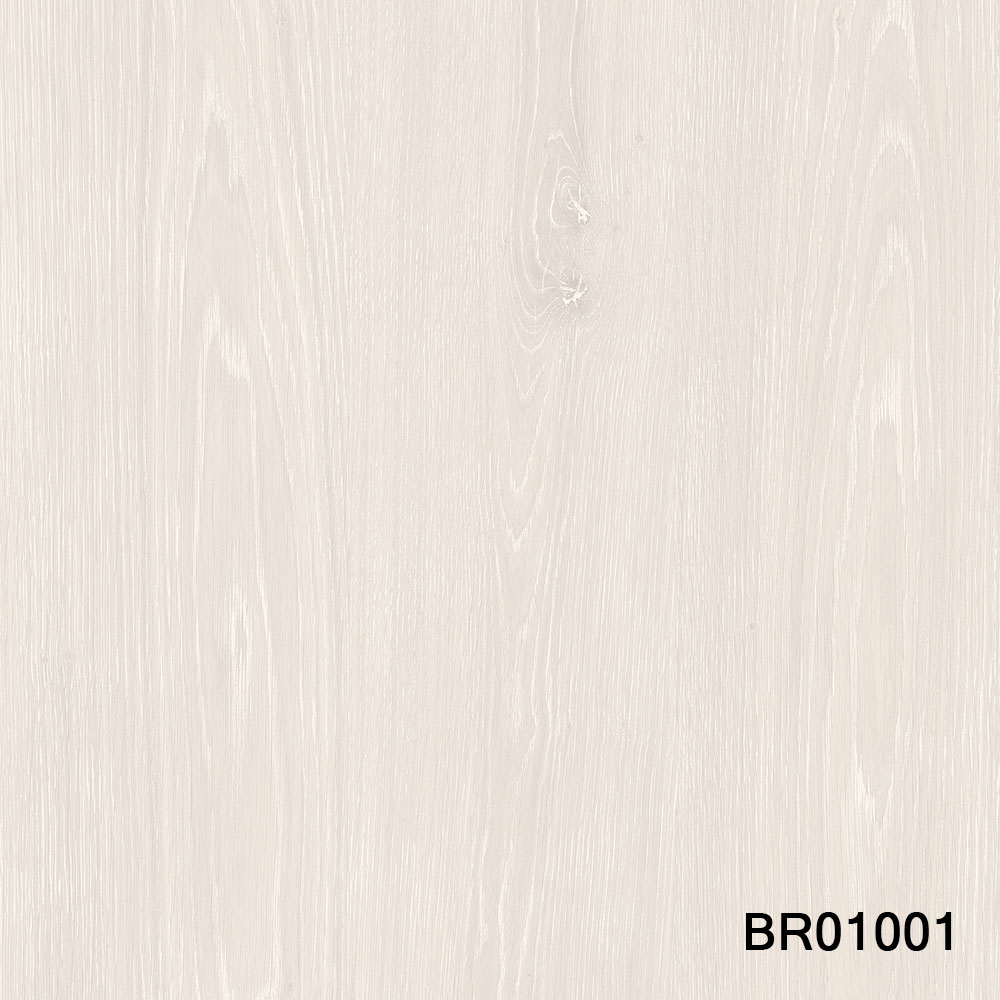 BR01001.jpg