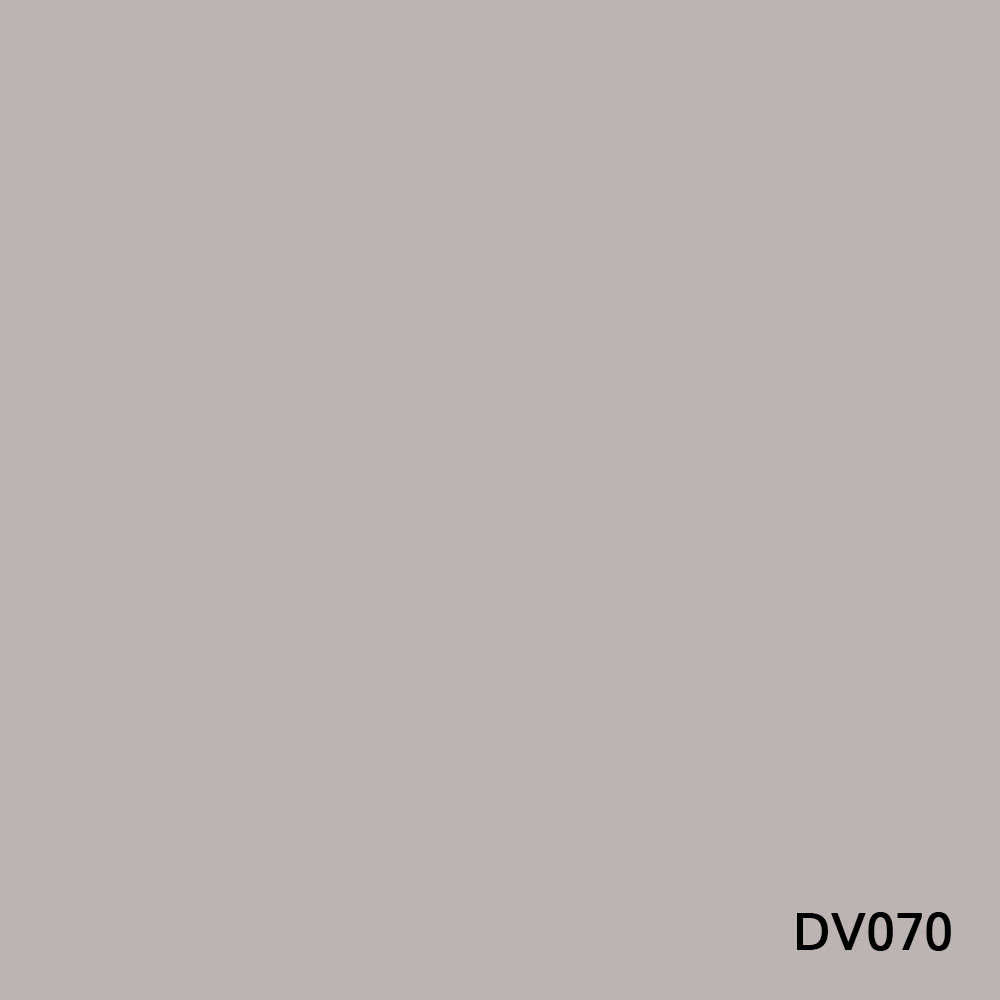 DV070.jpg