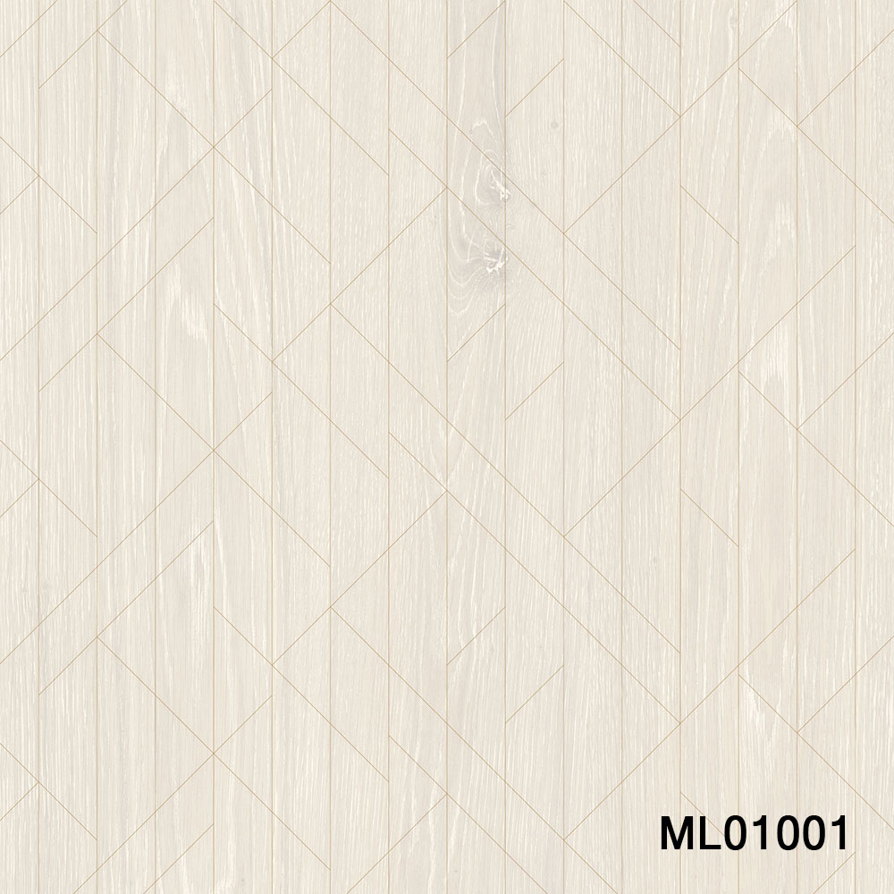 ML01001.jpg
