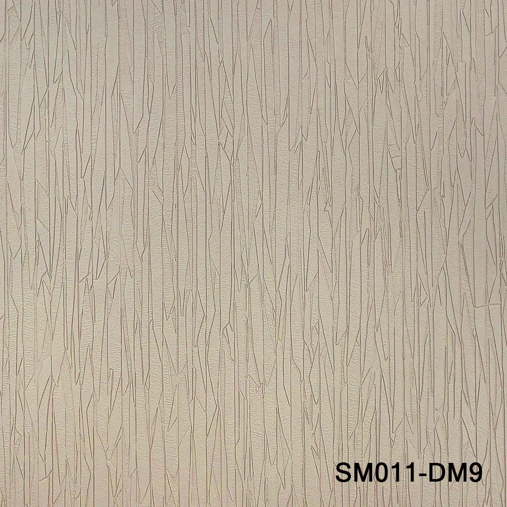 SM011-DM9.jpg